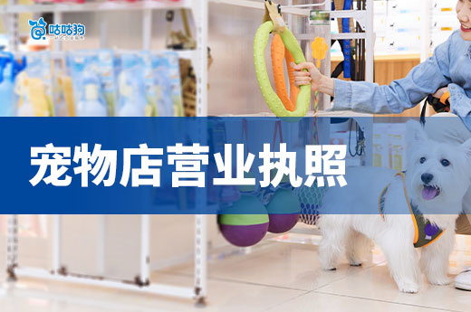 创业开宠物店赚钱吗?宠物店营业执照+许可证办理流程